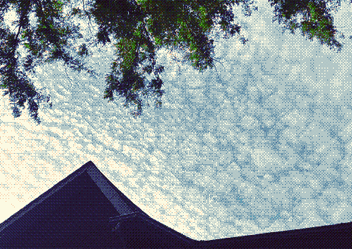 Altocumulus clouds covering the sky.